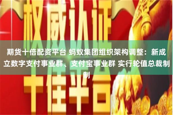 期货十倍配资平台 蚂蚁集团组织架构调整：新成立数字支付事业群