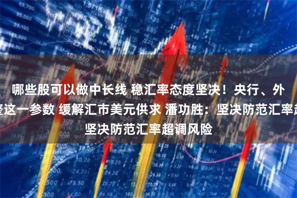 哪些股可以做中长线 稳汇率态度坚决！央行、外汇局调整这一参数 缓解汇市美元供求 潘功胜：坚决防范汇率超调风险